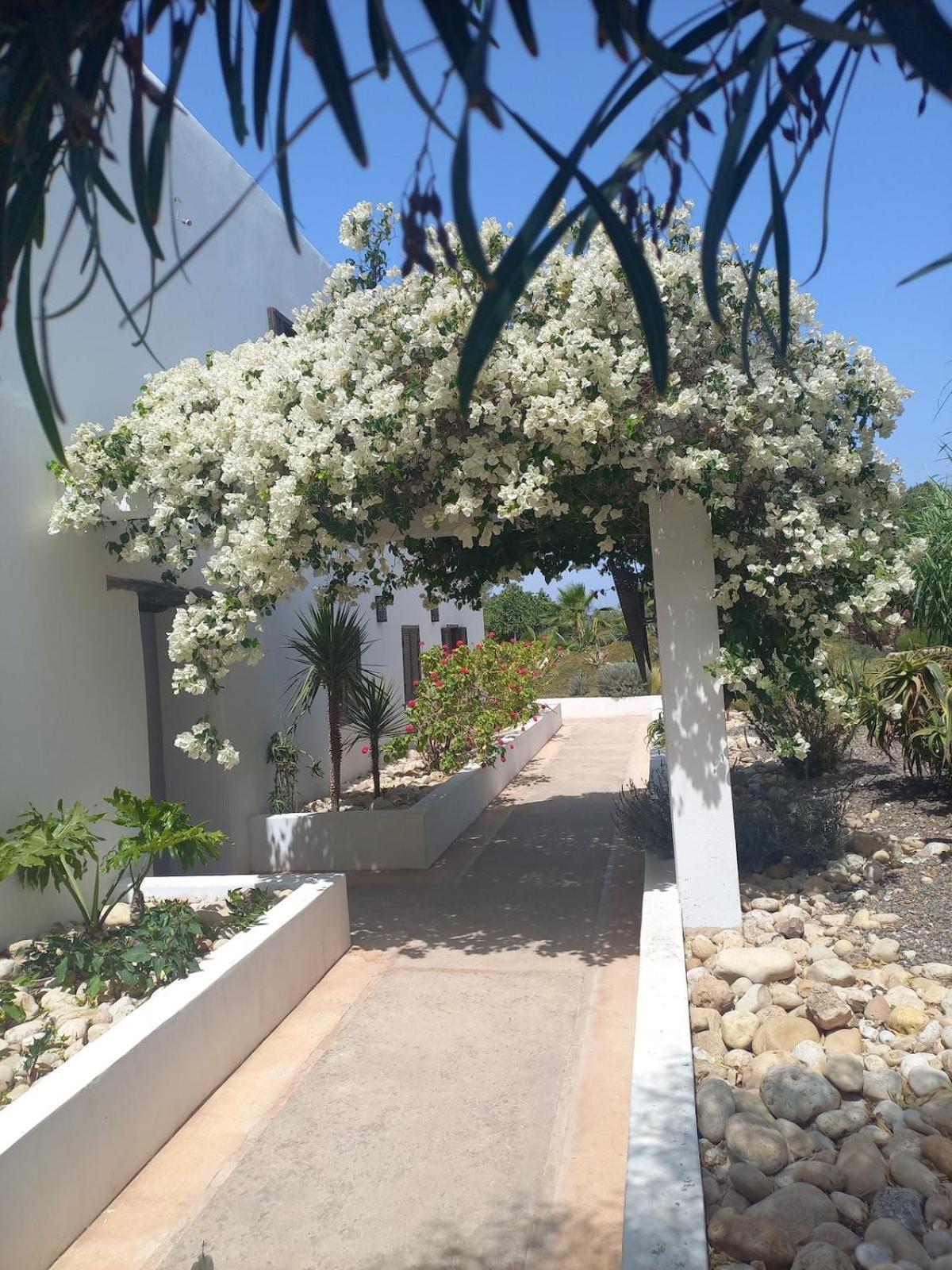 Hotel Les Jardins De Silona, Piscine Chauffee As-Sawíra Exteriér fotografie