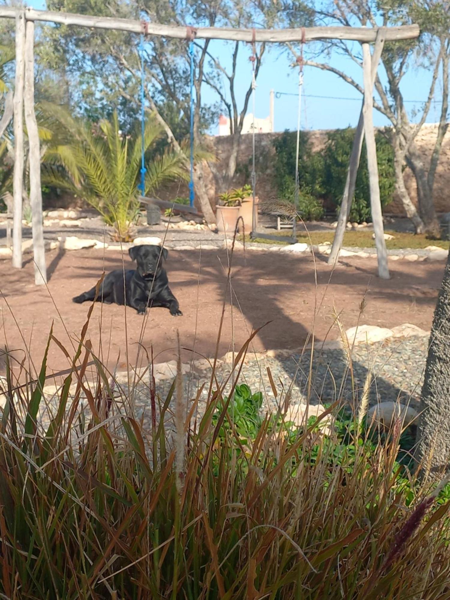 Hotel Les Jardins De Silona, Piscine Chauffee As-Sawíra Exteriér fotografie