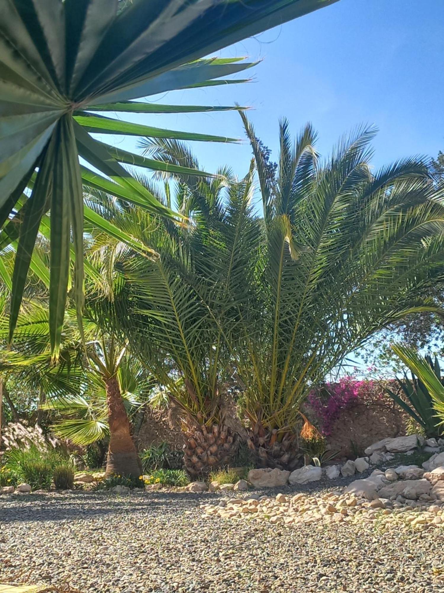 Hotel Les Jardins De Silona, Piscine Chauffee As-Sawíra Exteriér fotografie